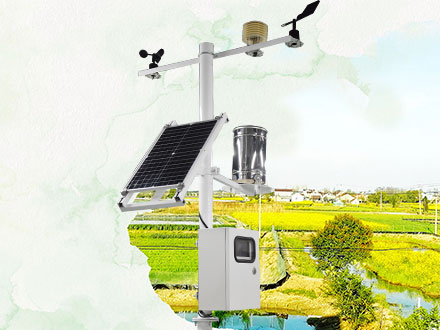 多要素氣象站：油柑種植需要什么樣的氣候條件？